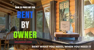 Pricing Your Rental Property: A Guide for Owners to Maximize Returns
