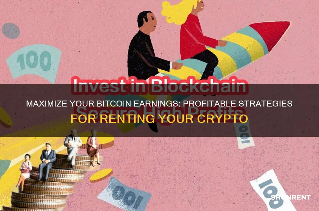 how to profit from renting your bitcoin
