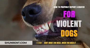 Reporting Violent Dogs: A Guide for Landlords and Neighbors