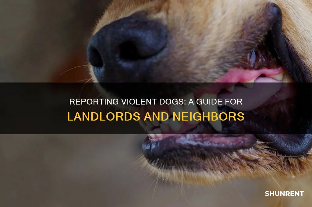how to properly report a renter for violent dogs