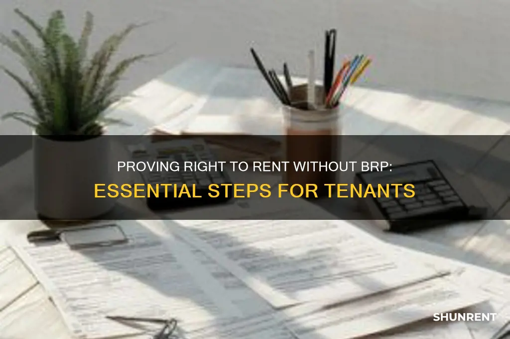 how to prove right to rent without brp