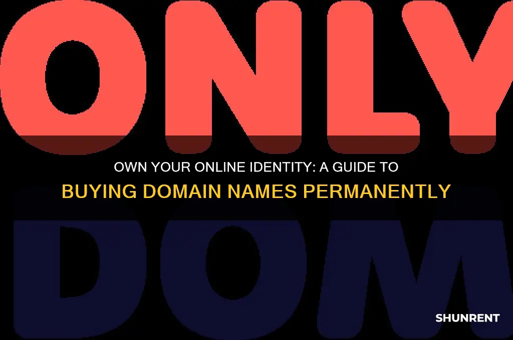 how to purchase a domain name not rent