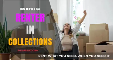 Dealing with Deadbeat Tenants: A Guide to Collections for Landlords