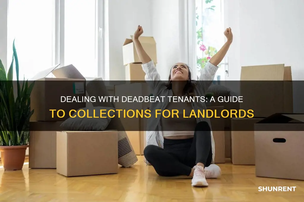 how to put a bad renter in collections