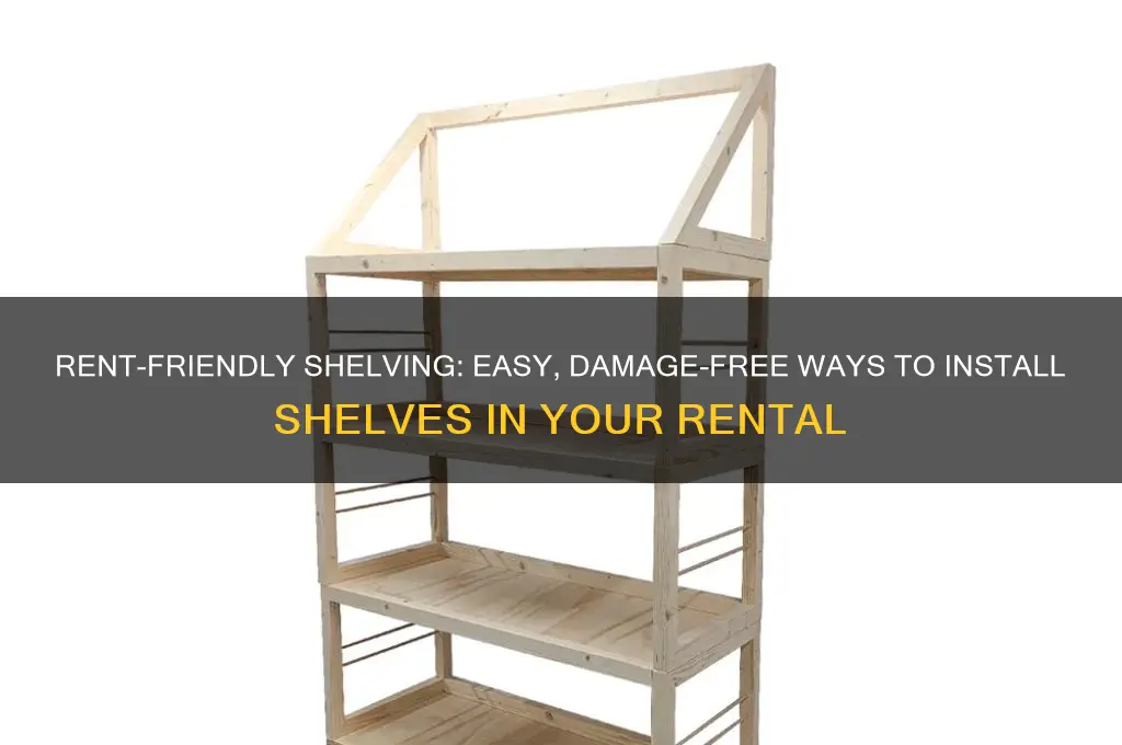 how to put up shelves when you