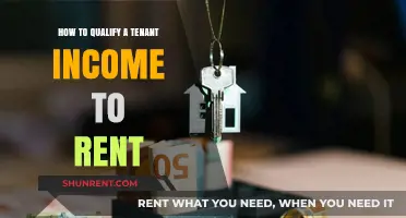 Mastering Tenant Income Verification for Rent Qualification: A Comprehensive Guide