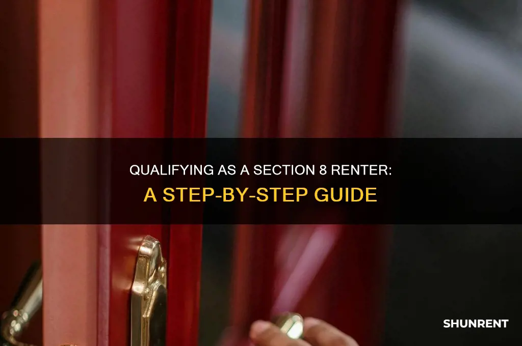how to qualify as a section 8 renter
