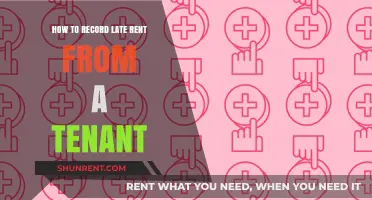 Efficiently Tracking Late Rent Payments: A Guide for Landlords