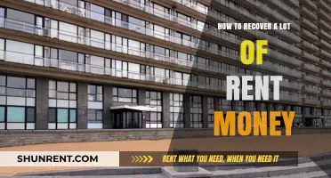 Effective Strategies to Reclaim Lost Rent Money and Boost Your Finances