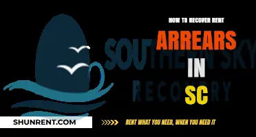 Effective Strategies for Recovering Rent Arrears in South Carolina