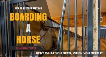 Recovering Horse Boarding Rent: Legal Steps and Practical Tips for Owners