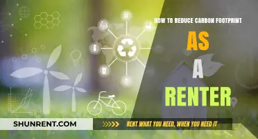 Eco-Friendly Renting: Practical Tips to Shrink Your Carbon Footprint