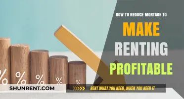 Maximize Rental Profits: Strategies to Lower Your Mortgage Costs