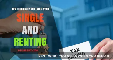 Maximize Savings: Tax Reduction Tips for Single Renters