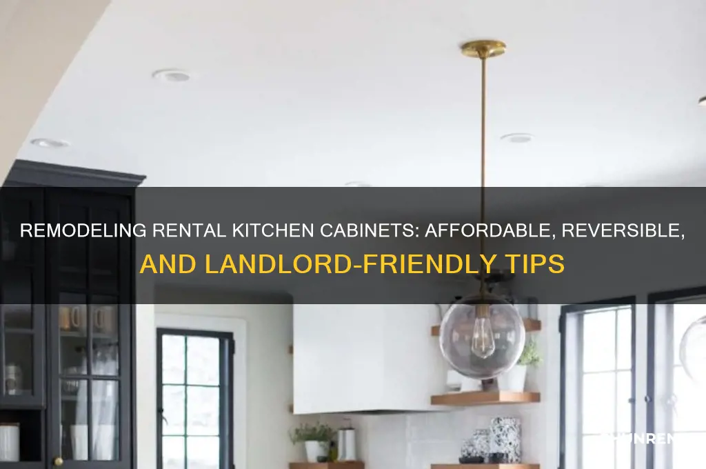 how to remodel kitchen cabinets when you rent