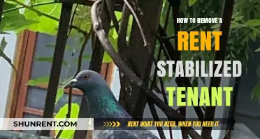 Legal Steps to Evict Rent-Stabilized Tenants: A Comprehensive Guide