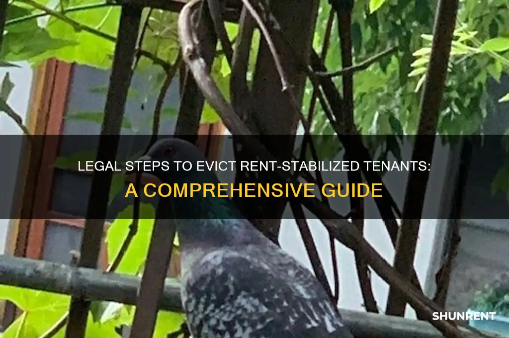 how to remove a rent stabilized tenant