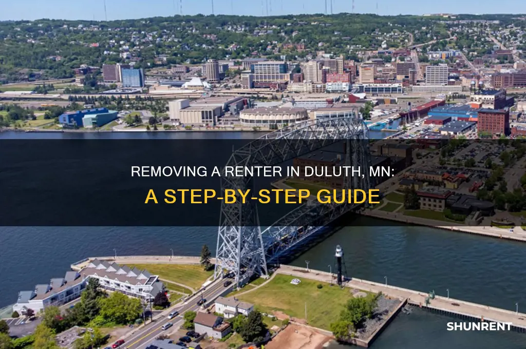 how to remove a renter in duluth mn