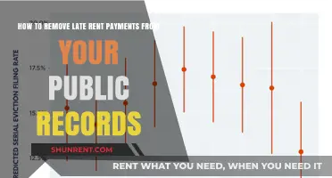 Erase Late Rent Payments: Clean Your Public Records Effectively