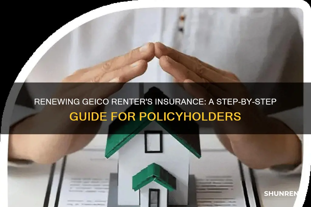 how to renew geico renter