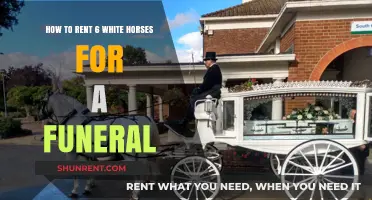 Renting White Horses for a Dignified Funeral Procession: A Guide