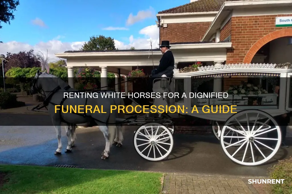 how to rent 6 white horses for a funeral