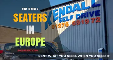 Renting 9-Seater Vehicles in Europe: A Comprehensive Guide for Travelers