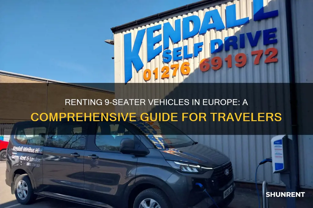 how to rent 9 seaters in europe