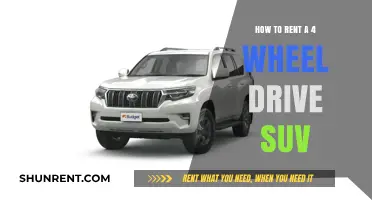 Renting a 4WD SUV: Essential Tips for Your Off-Road Adventure