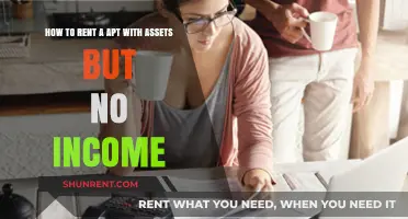 Renting an Apartment with Assets but No Income: A Comprehensive Guide