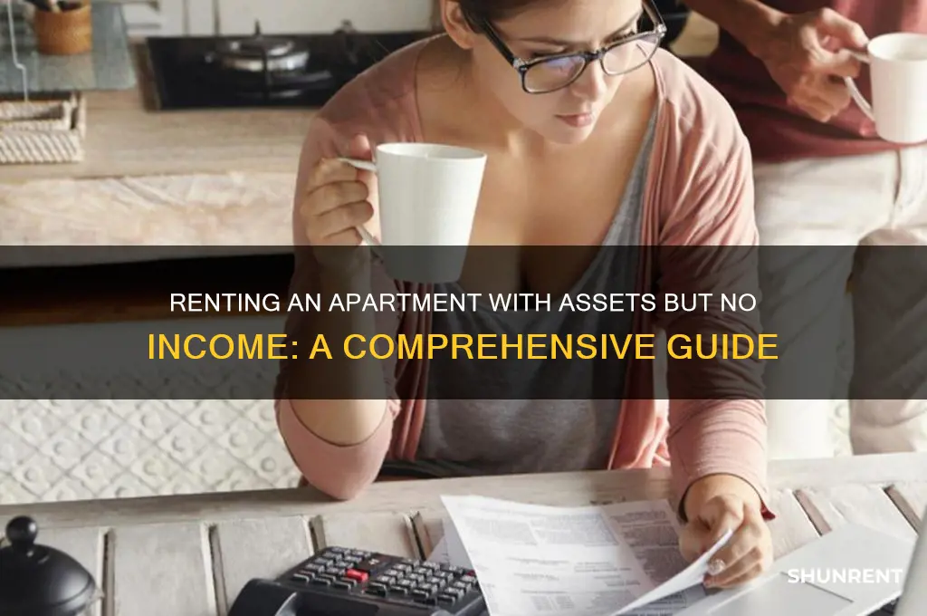 how to rent a apt with assets but no income