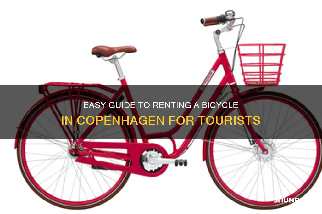 how to rent a bicycle in copenhagen