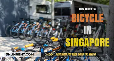 Easy Guide to Renting a Bicycle in Singapore for Tourists