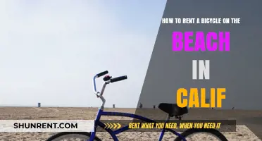 Renting Beach Bikes in California: A Quick and Easy Guide