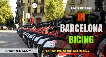 Renting a Bike in Barcelona: Your Bicing Guide