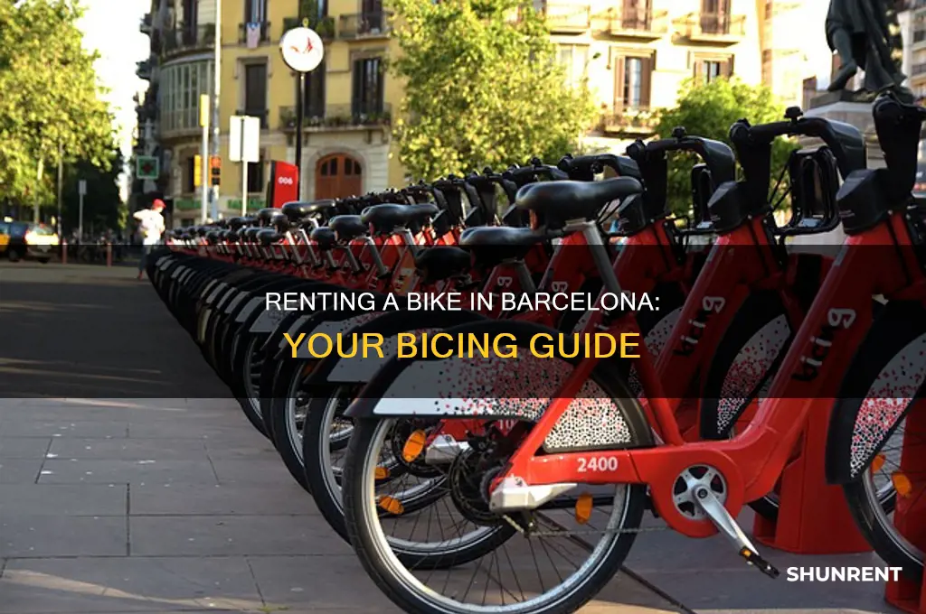 how to rent a bike in barcelona bicing