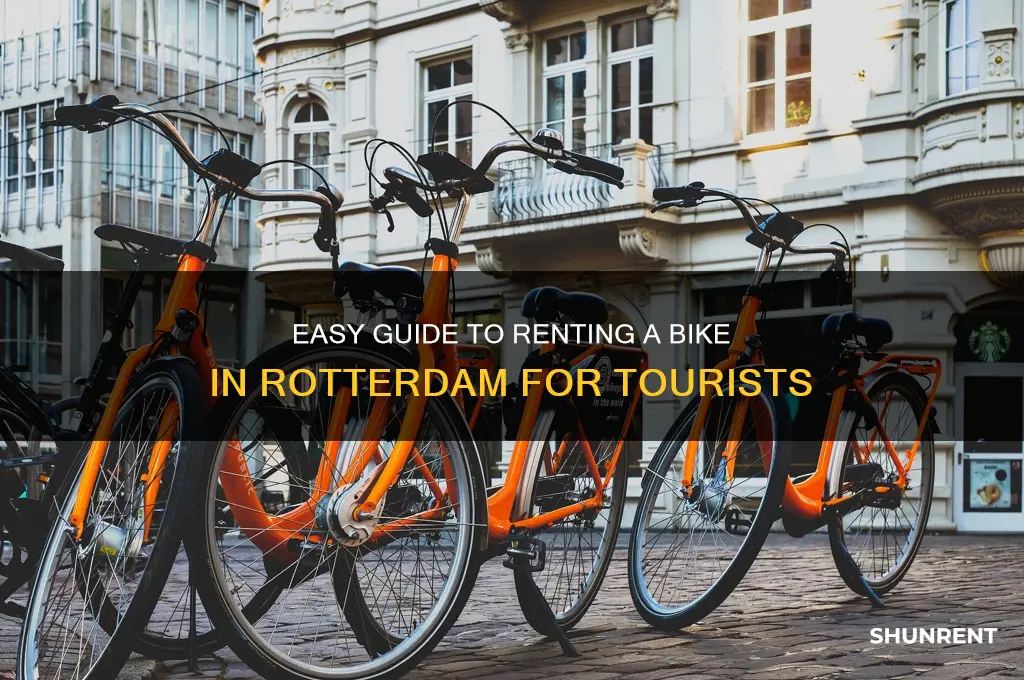 how to rent a bike in rotterdam