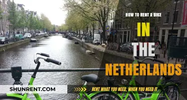 Renting a Bike in the Netherlands: A Beginner's Guide