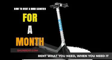 Renting a Bird Scooter Monthly: A Step-by-Step Guide