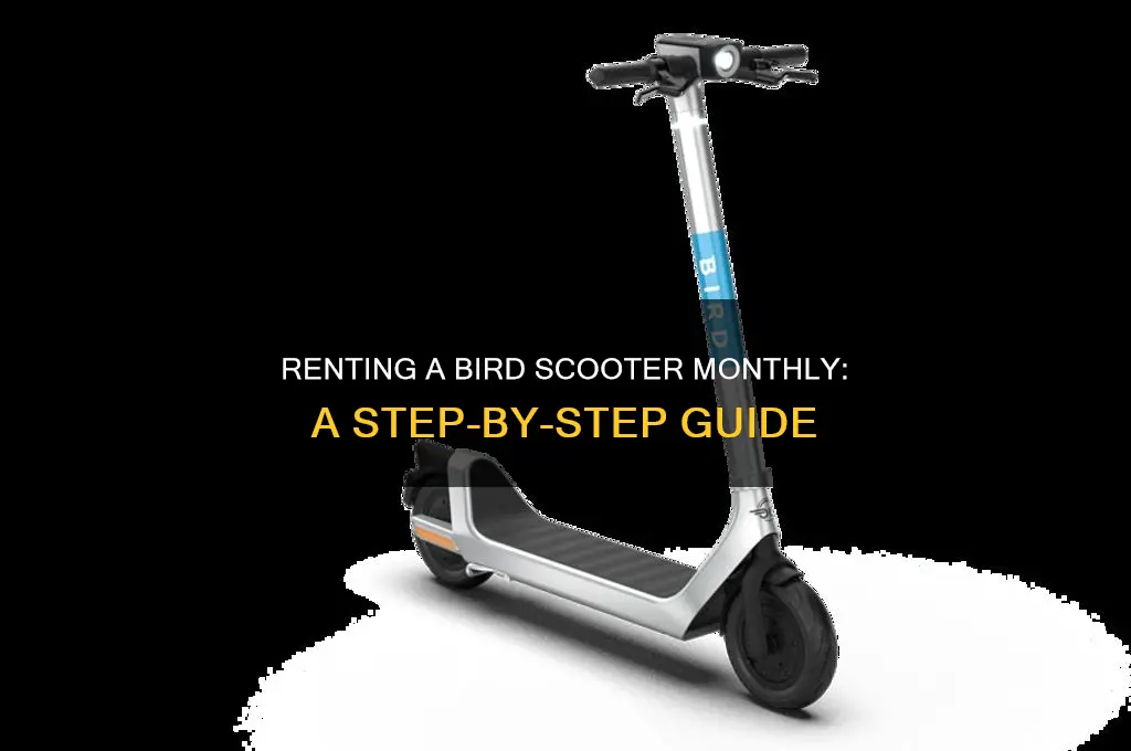 how to rent a bird scooter for a month