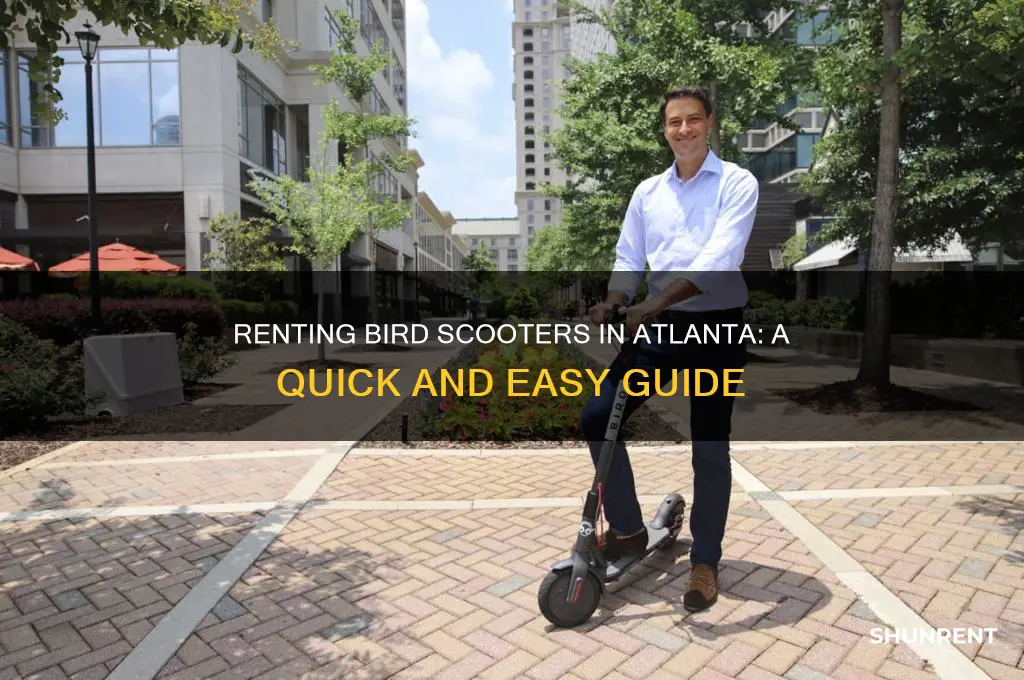 how to rent a bird scooter in atlanta