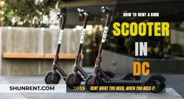 Renting Bird Scooters in DC: A Quick and Easy Guide