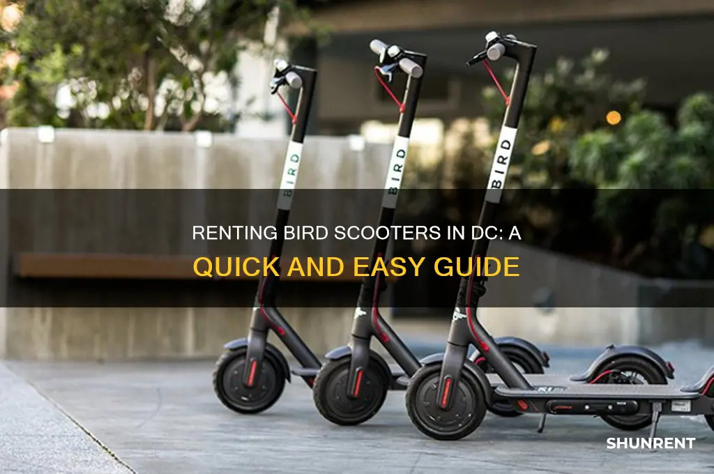 how to rent a bird scooter in dc