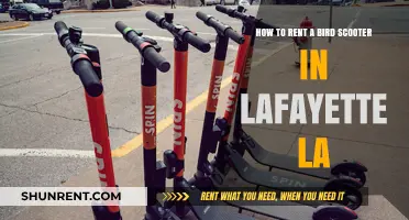 Renting Bird Scooters in Lafayette, LA: A Quick Guide