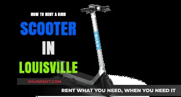 Renting Bird Scooters in Louisville: A Quick and Easy Guide