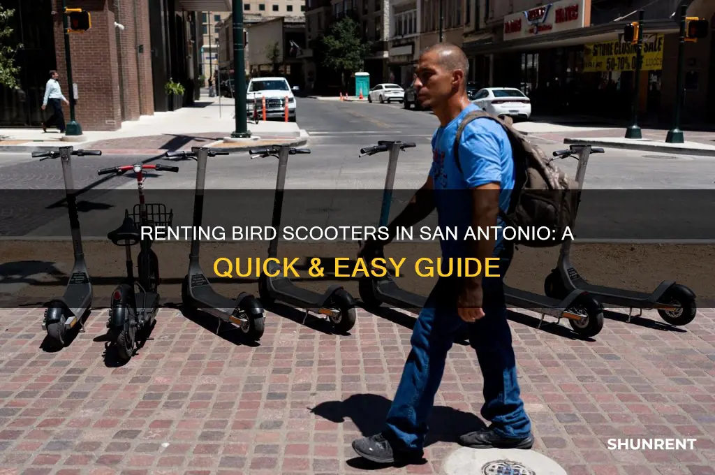 how to rent a bird scooter in san antonio