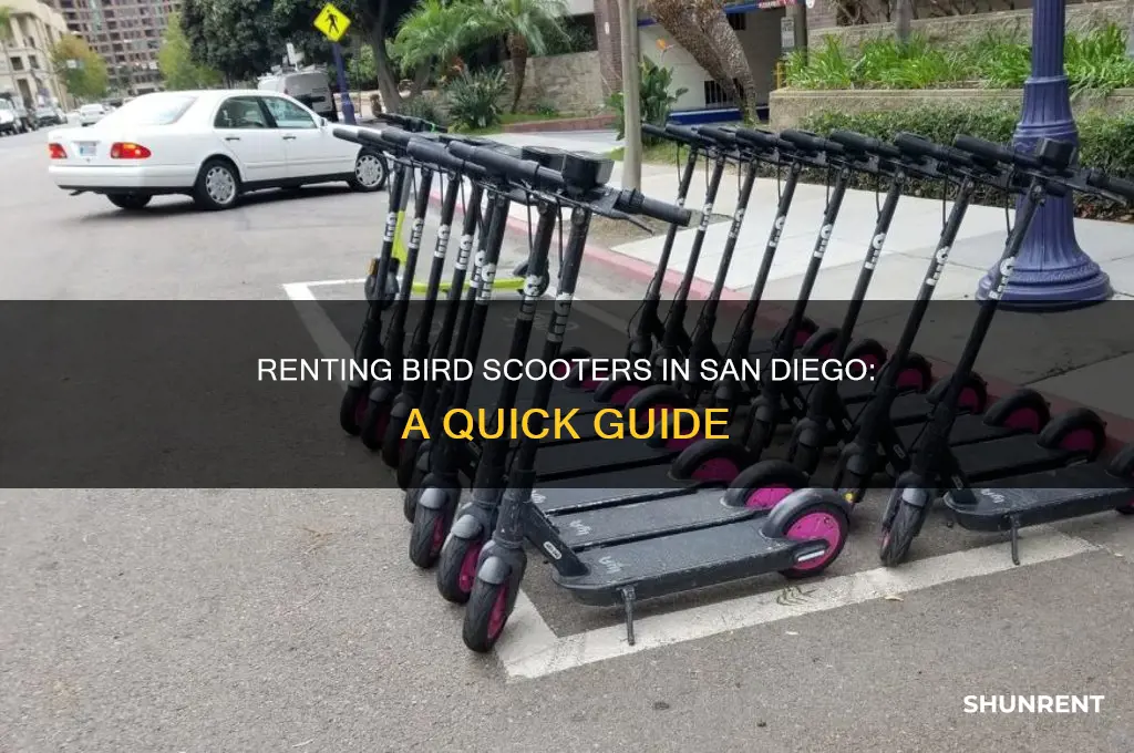 how to rent a bird scooter in san diego