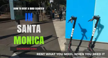 Renting Bird Scooters in Santa Monica: A Quick Guide