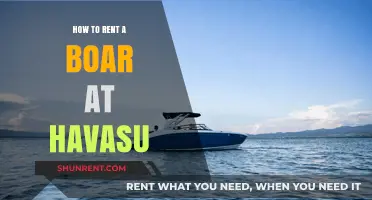 Renting a Boat at Havasu: A Step-by-Step Guide for Beginners