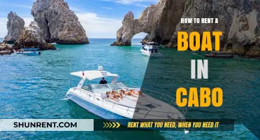 Renting a Boat in Cabo: A Step-by-Step Guide for Beginners